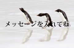 メッセージを入れてね