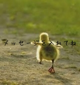 メッセージを入れてね