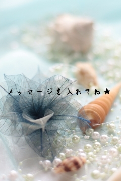 メッセージを入れてね★