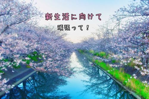 新生活に向けて