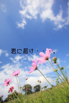 君に届け・・・。