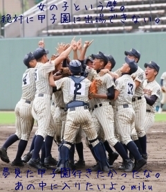夢見た甲子園行きたかったな。
あの中に入りたいよ。