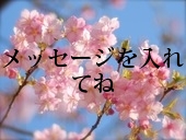 メッセージを入れてね