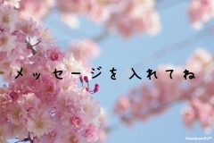 メッセージを入れてね