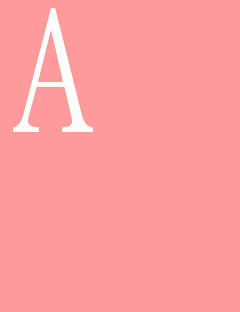 AKB48