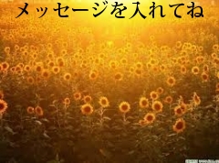メッセージを入れてね