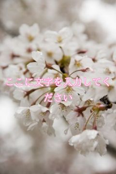 ここに文字を入力してください