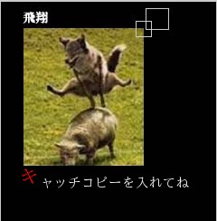キャッチコピーを入れてね
