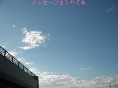 メッセージを入れてね